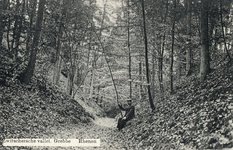 12139 Gezicht in het bos van de Zwitserse Vallei op de Grebbeberg te Grebbe bij Rhenen.